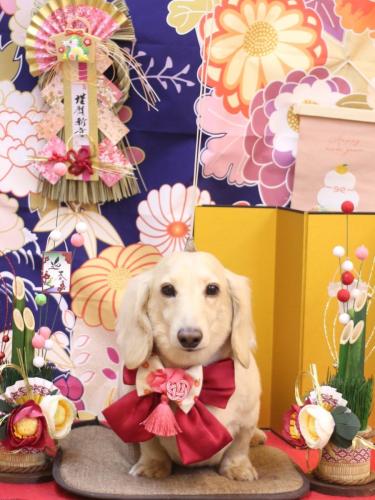 20240118シオンくん